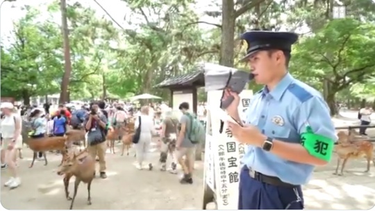 中国人「奈良県警が大音量スピーカーで『奈良の鹿は国の天然記念物です、鹿を傷つけないでください????』と叫び始めた。日本語、英語、中国語で」